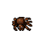 Brown spider.png