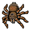 Brown giant spider.png