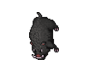 Syrup boar.png
